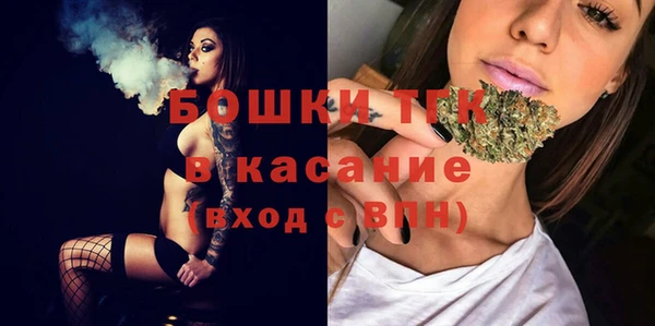 индика Армянск
