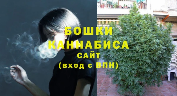 бошки Аркадак