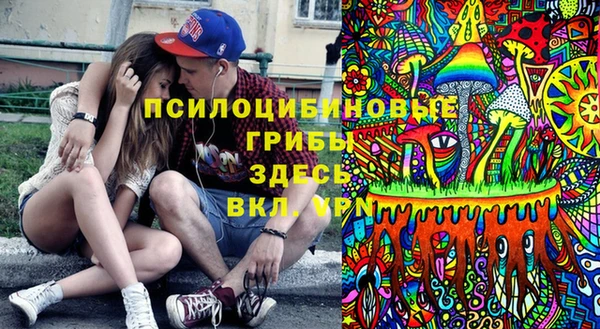 эйфоретик Арсеньев