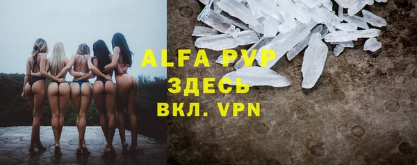 индика Армянск