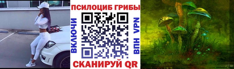 что такое наркотик гидра Псилоцибиновые грибы Magic Shrooms Михайловск