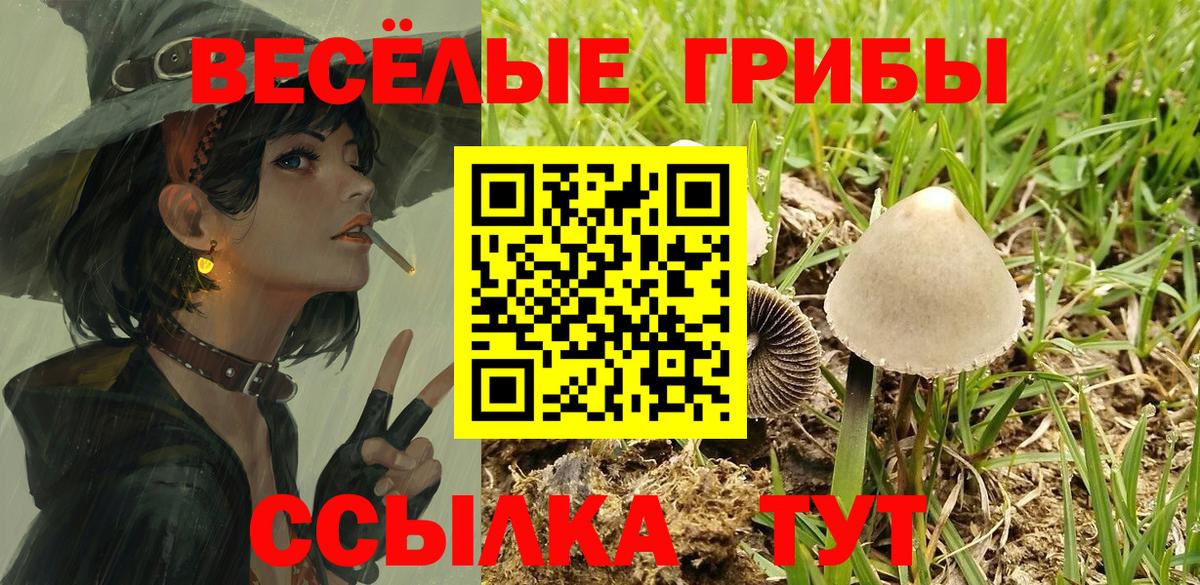 Псилоцибиновые грибы Psilocybine cubensis  Вход с VPN  Псилоцибиновые грибы Psilocybine cubensis  Михайловск 