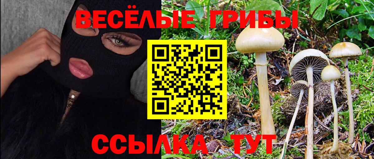 Галлюциногенные грибы мицелий Михайловск